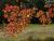 _A049660oofm.jpg